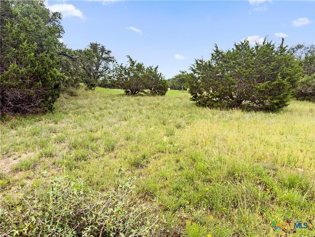 141 Vista View Pl, Home with 0 bedrooms, 0 bathrooms and null parking in Spring Branch TX | Image 8