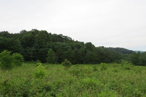 1 Tackett Hill Cemetery Rd, Hulen, KY, 40845 | Card Image