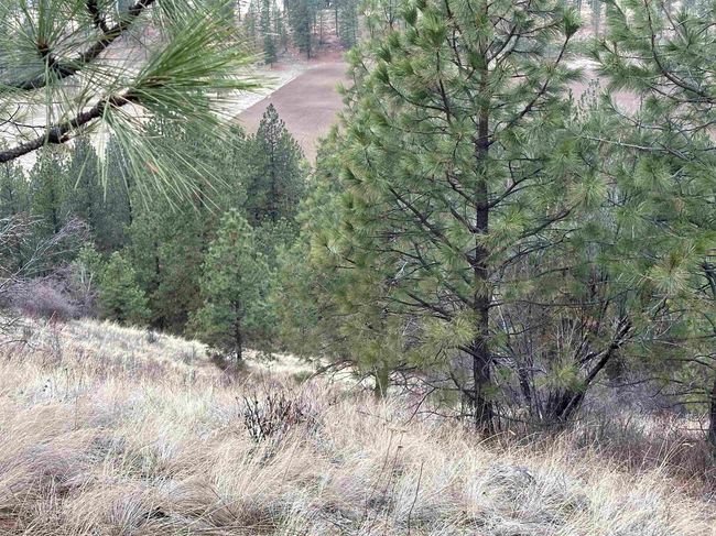 3312X Daisy Mine Rd, Home with 0 bedrooms, 0 bathrooms and null parking in Rice WA | Image 16