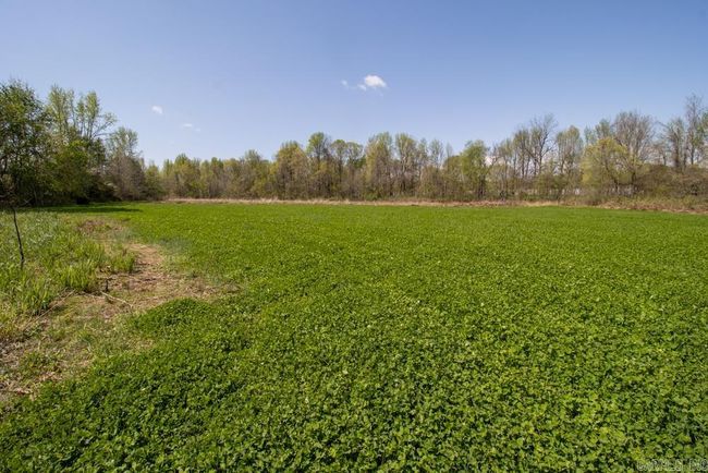 9 County Road 422, Home with 0 bedrooms, 0 bathrooms and null parking in Rector AR | Image 32