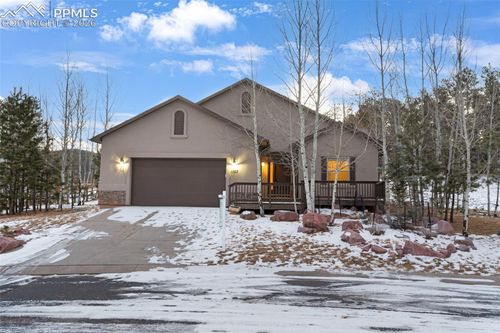 1157 Ptarmigan Dr, Woodland Park, CO, 80863-8004 | Card Image
