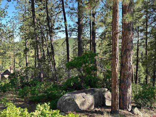 72 Cabin Creek Dr, Durango, CO, 81301 | Card Image
