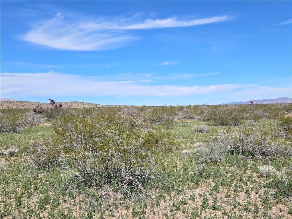 Land in Dolan Springs 4