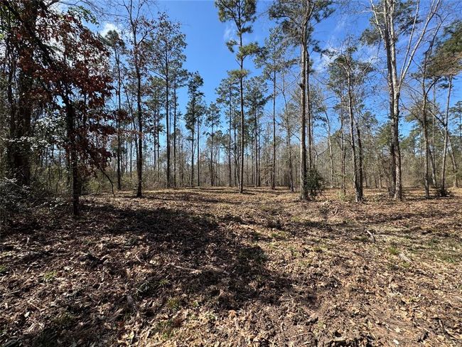 000 Old Farm Market 705 S, House other with 2 bedrooms, 2 bathrooms and 3 parking in Broaddus TX | Image 6