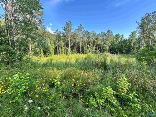 11.83 Acres County Road 82, Cedar Bluff, AL, 35959 | Card Image