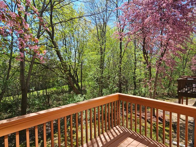 Nature Views | Image 12
