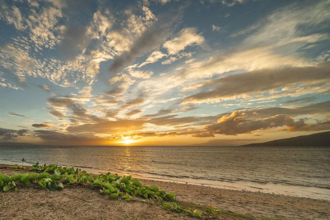 APT-403 - 938 S Kihei Rd, Condo with 1 bedrooms, 1 bathrooms and null parking in Kihei HI | Image 49