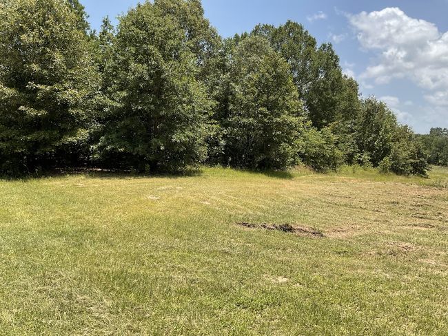 0 Lee Rd, Home with 0 bedrooms, 0 bathrooms and null parking in Murchison TX | Image 6