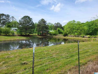 Large Pond with Fish | Image 1