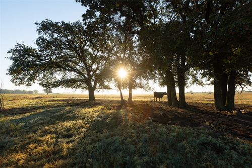 TBD Brushy Rd, Granbury, TX, 76048 | Card Image
