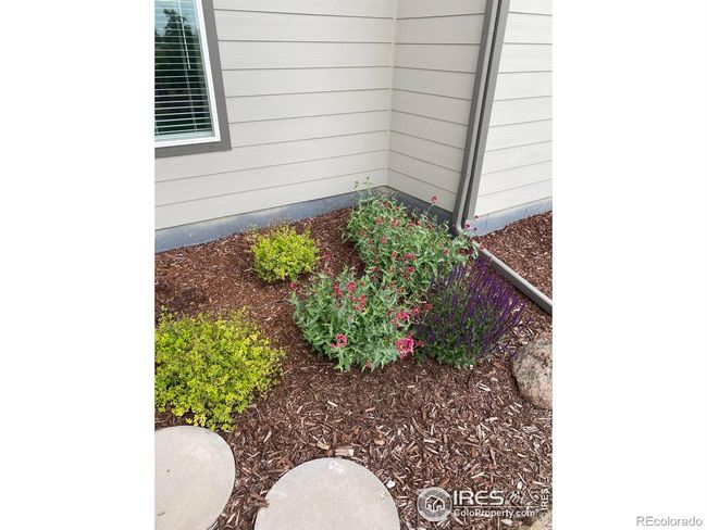 5573 Bristow Rd, House other with 4 bedrooms, 3 bathrooms and 3 parking in Timnath CO | Image 28