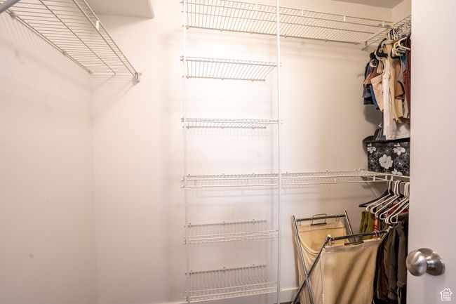 View of spacious primary bedroom walk-in closet | Image 19