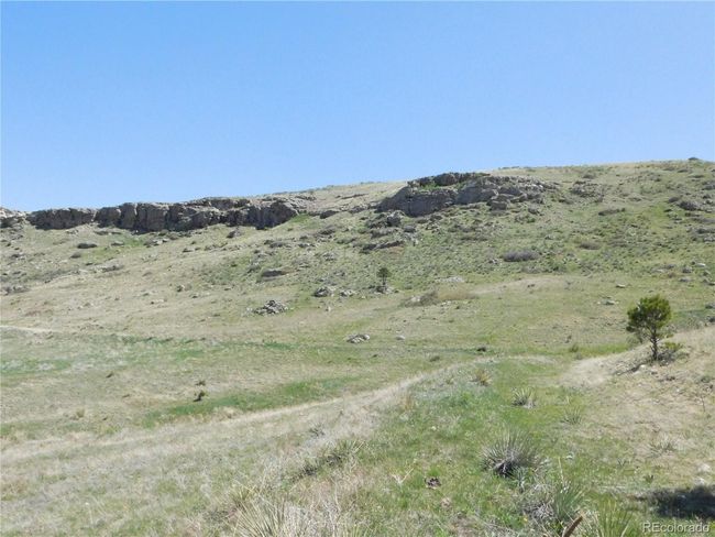 11972 Haskell Creek Rd, Home with 0 bedrooms, 0 bathrooms and null parking in Larkspur CO | Image 25