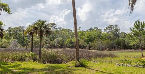 7149 Fitzpatrick Lane, Jacksonville, FL, 32226 | Card Image