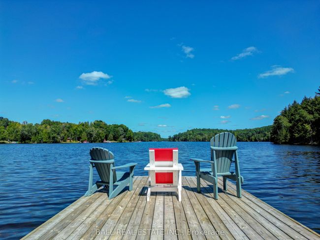 75 Maple Ridge Lane, House other with 6 bedrooms, 4 bathrooms and 8 parking in Wollaston ON | Image 37