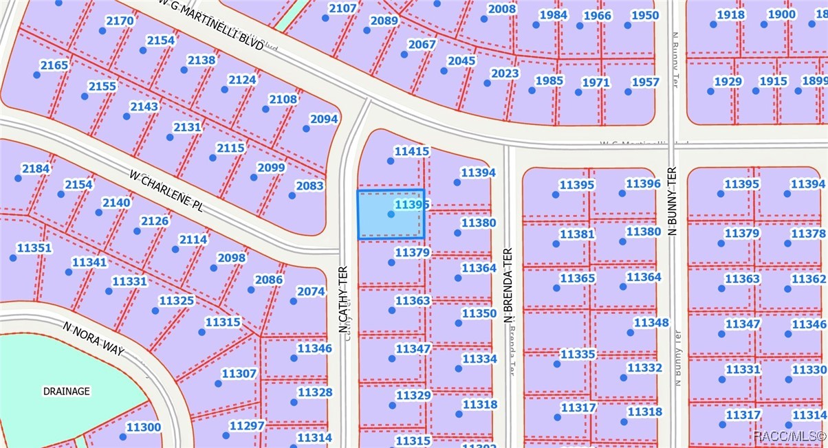 Land in Citrus Springs 2