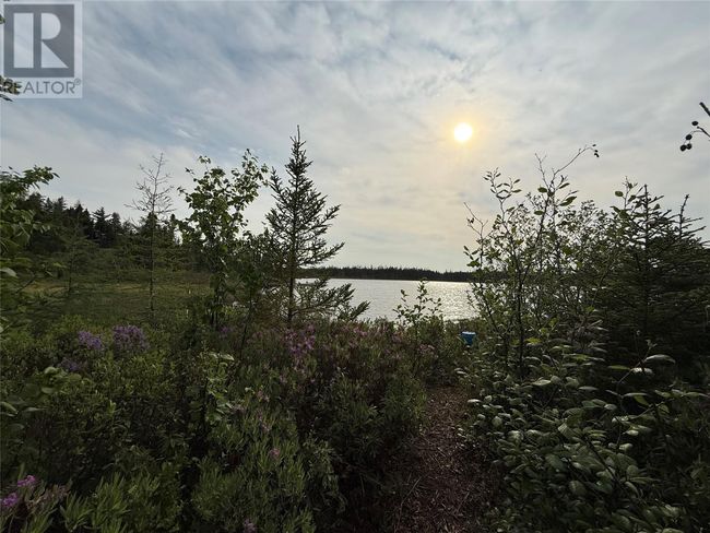 4 Boot Brook Rd, Home with 2 bedrooms, 2 bathrooms and null parking in Howley NL | Image 15