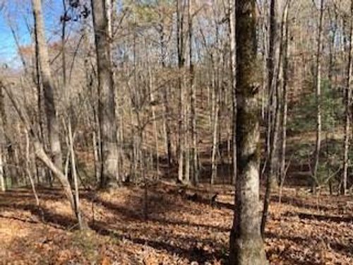 Lot 260 Catawba Cir, Ellijay, GA, 30540 | Card Image
