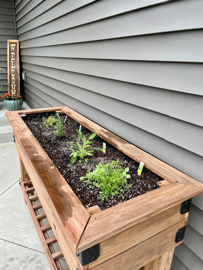 Front Herb Garden | Image 52