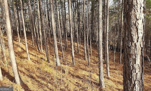 0 Whistler Ln, Canton, GA, 30114 | Card Image