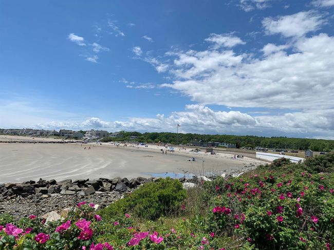 5 - 1047 Ocean Blvd, Condo with 1 bedrooms, 1 bathrooms and null parking in Rye NH | Image 7