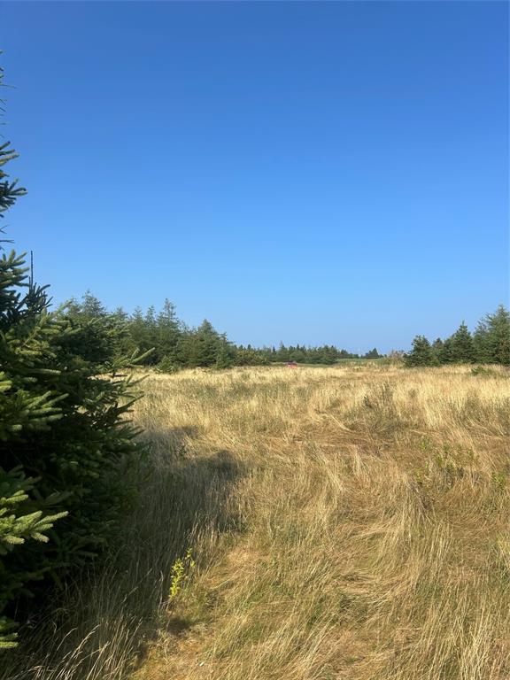 Land in Roaches Line 4