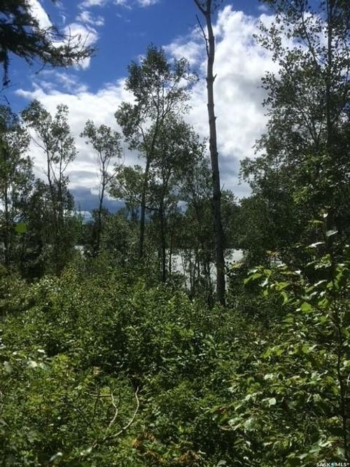 23 Sunset Cove, Big River Rm No. 555, SK, S0J0E0 | Card Image