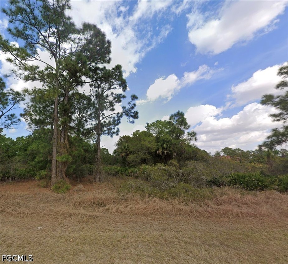 Land in Lehigh Acres