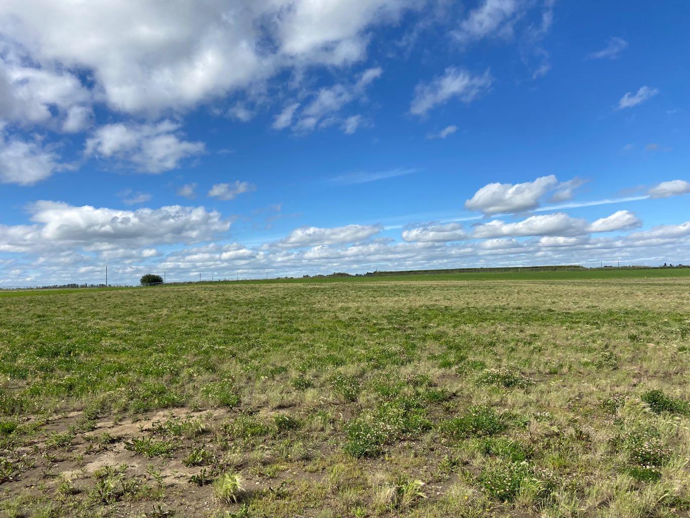 Land in Rural Ponoka County 4