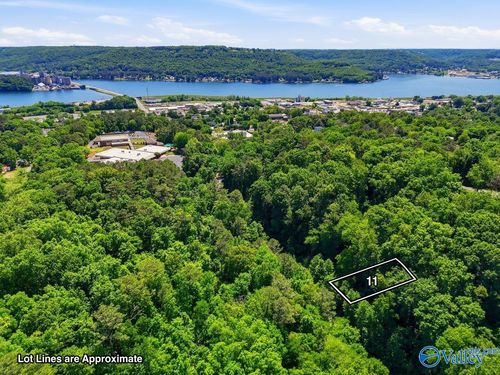 Lot 11 Lusk St, Guntersville, AL, 35976 | Card Image