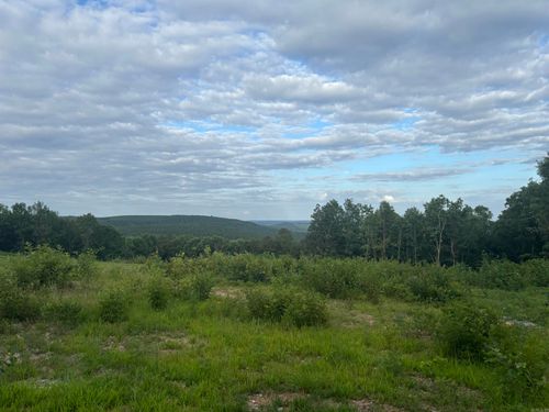 2095 Dry Mountain Road, Drasco, AR, 72530 | Card Image