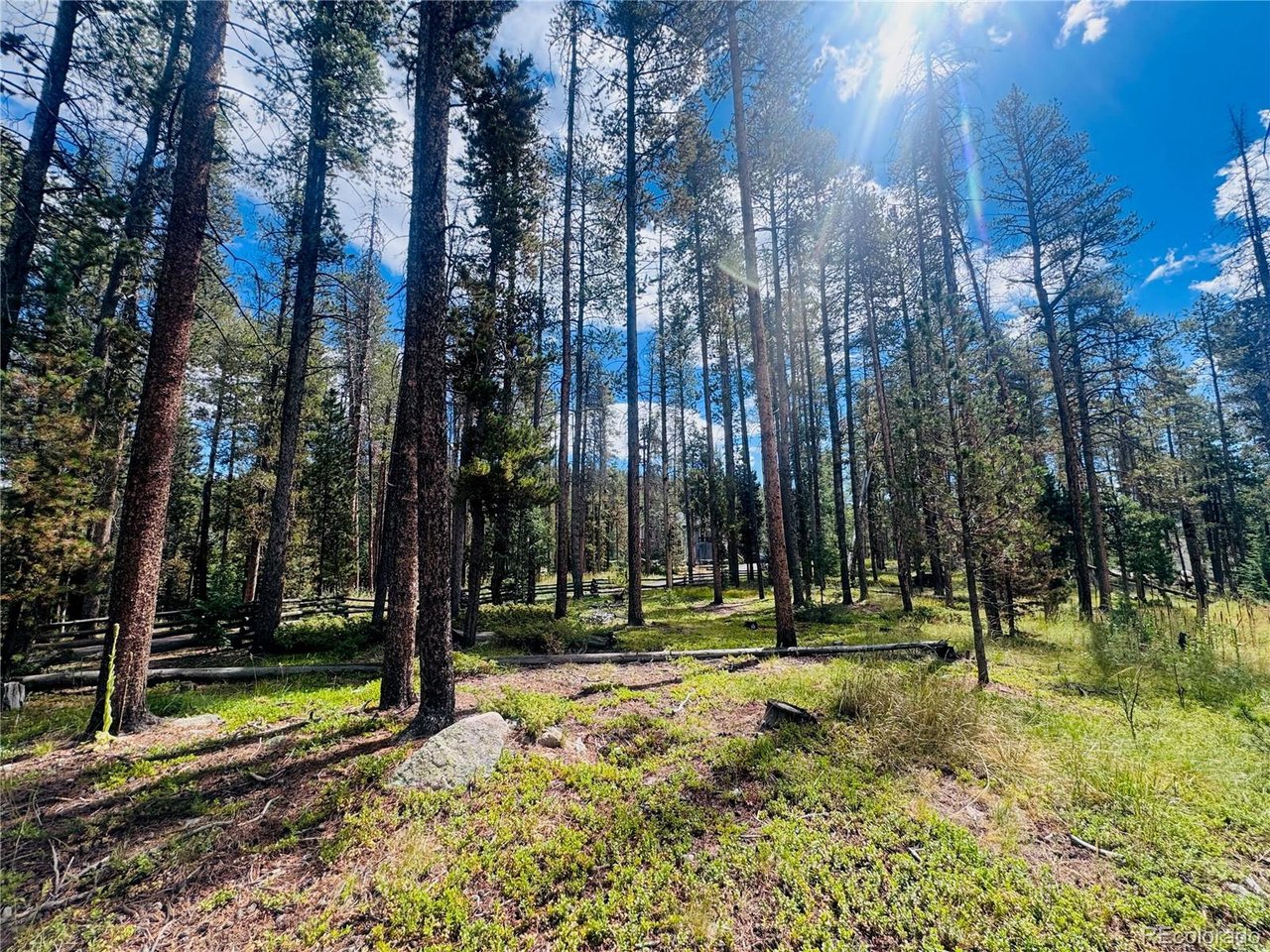 Land in Conifer