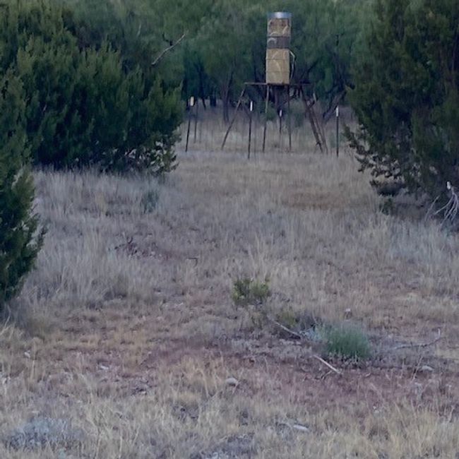 000 Private Rd 3922, Home with 0 bedrooms, 0 bathrooms and null parking in Miles TX | Image 22