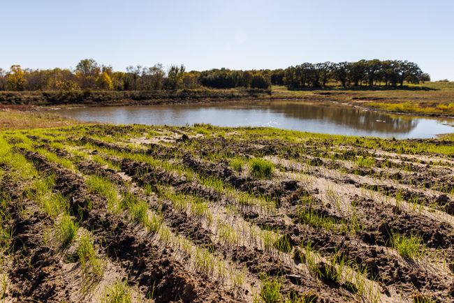 Tract 1 Fm 677, Home with 0 bedrooms, 0 bathrooms and null parking in Saint Jo TX | Image 6
