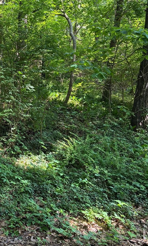 6 Lilac Lane, Grand Beach Village, MI, 49117 | Card Image