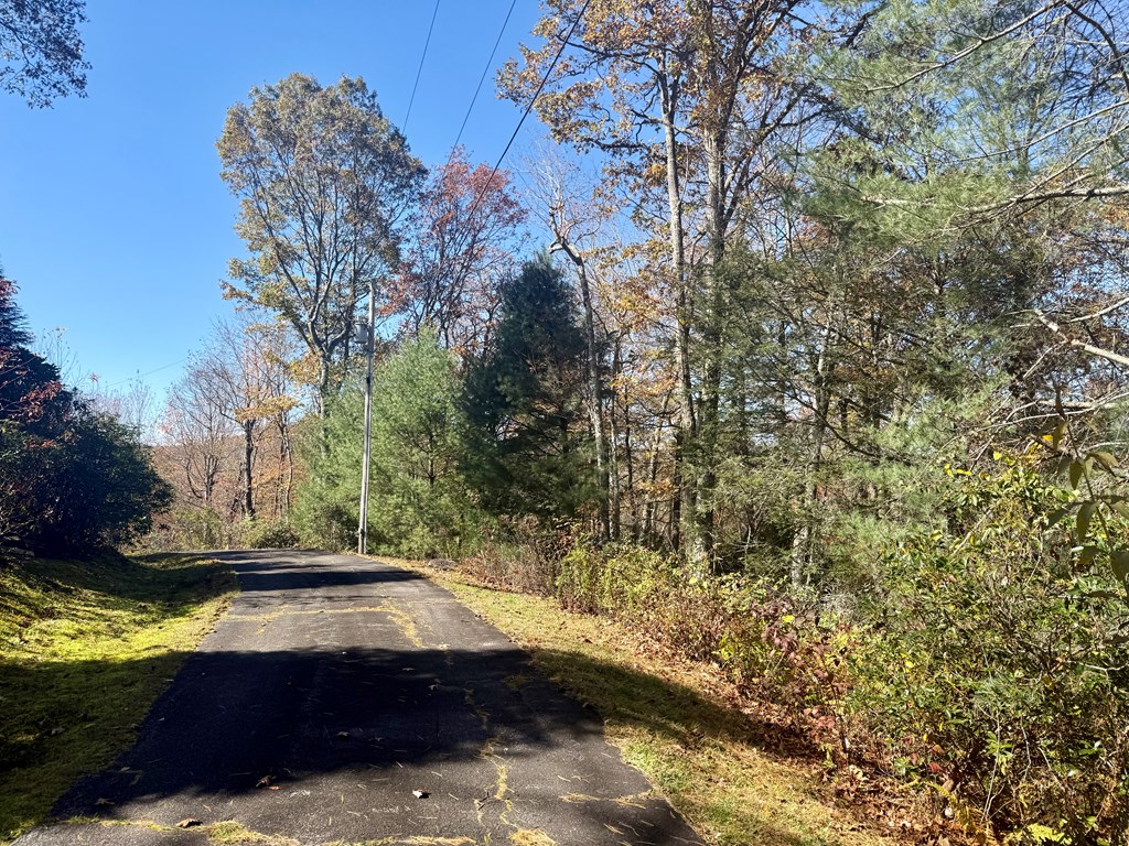 Land in Cashiers 4
