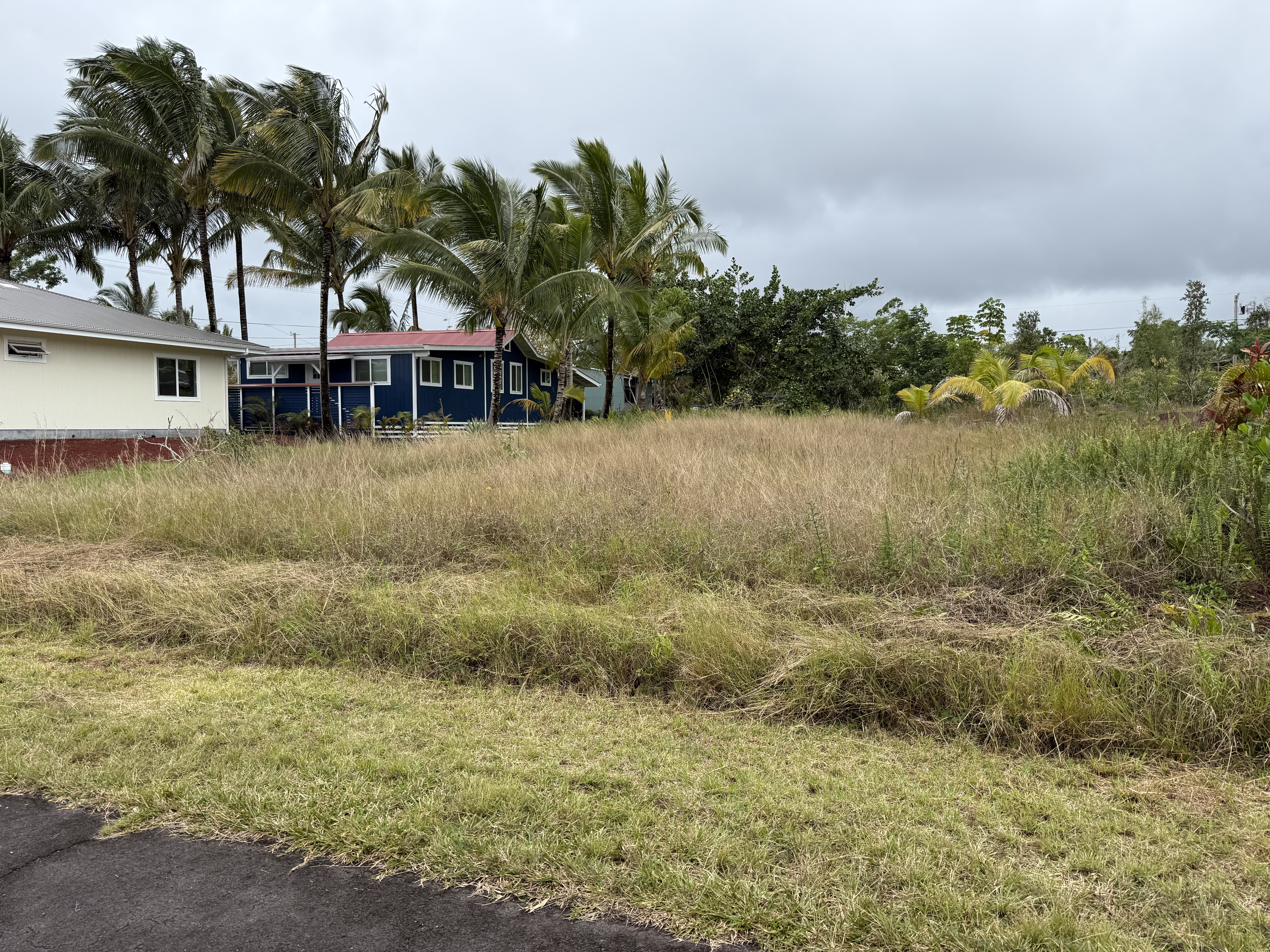 Land in Pahoa 2