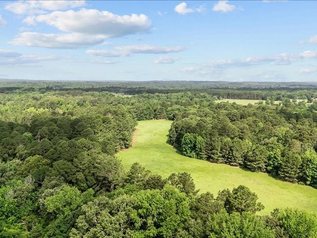 000 An County Road 100, Home with 0 bedrooms, 0 bathrooms and null parking in Elkhart TX | Image 7
