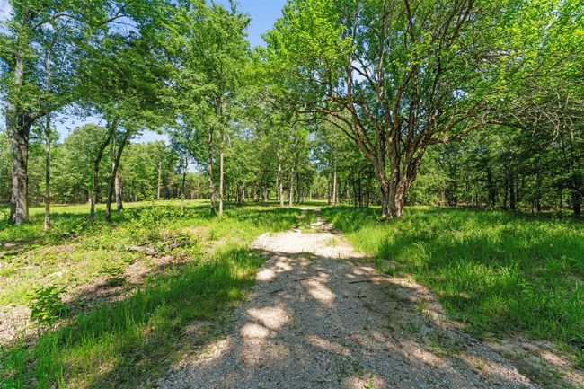 View of nature with a forest view | Image 5