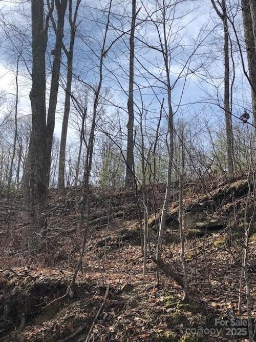 26-000 Butler Ridge Trl, Hendersonville, NC, 28792 | Card Image