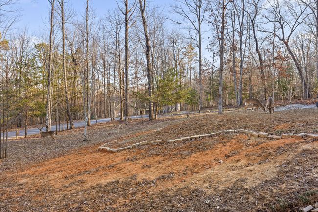 157 Twilight Trl, House other with 4 bedrooms, 5 bathrooms and null parking in Dunlap TN | Image 79