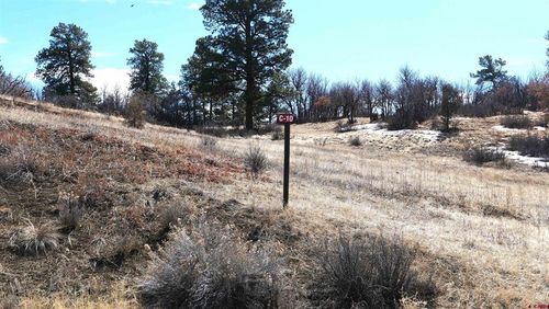 673 Spring Creek Cir, Chromo, CO, 81128 | Card Image