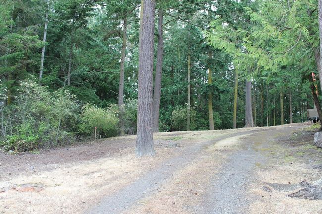 Driveway up and cleared homesite. | Image 9