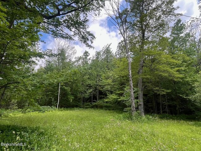 477 Mohawk Trl, House other with 4 bedrooms, 2 bathrooms and null parking in Drury MA | Image 4