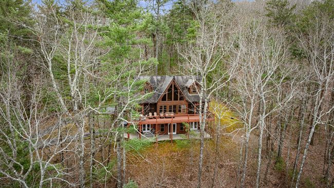 1036 Laurel Creek Trl, Home with 3 bedrooms, 4 bathrooms and null parking in Cherry Log GA | Image 61