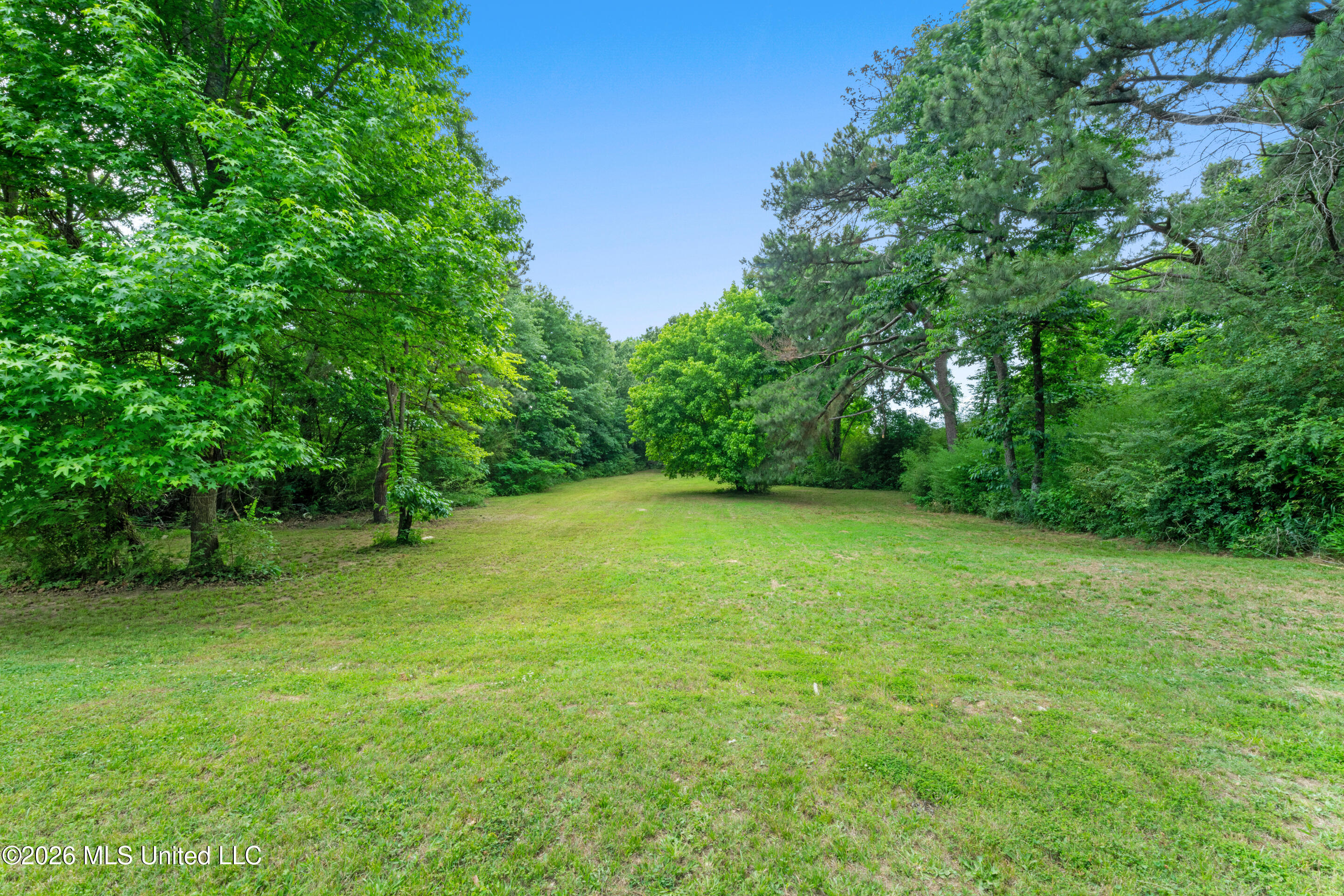 Land in Olive Branch 2