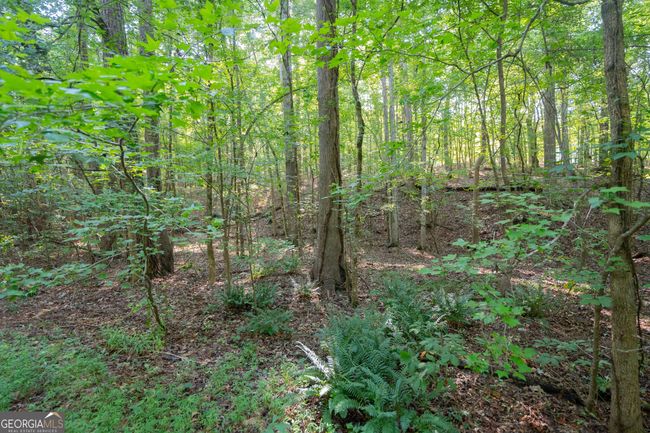 198.62+/- ACRES Apalachee Woods Trl, Home with 0 bedrooms, 0 bathrooms and null parking in Buckhead GA | Image 10