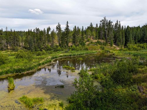 52XX Wagner Rd, Springdale, WA, 99173 | Card Image