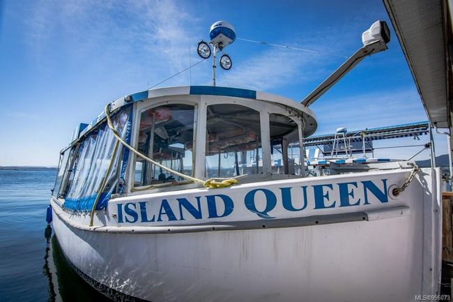 Protection Island | Image 13