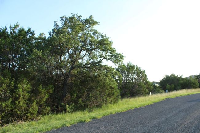 Street front of Lot with large oaks | Image 33
